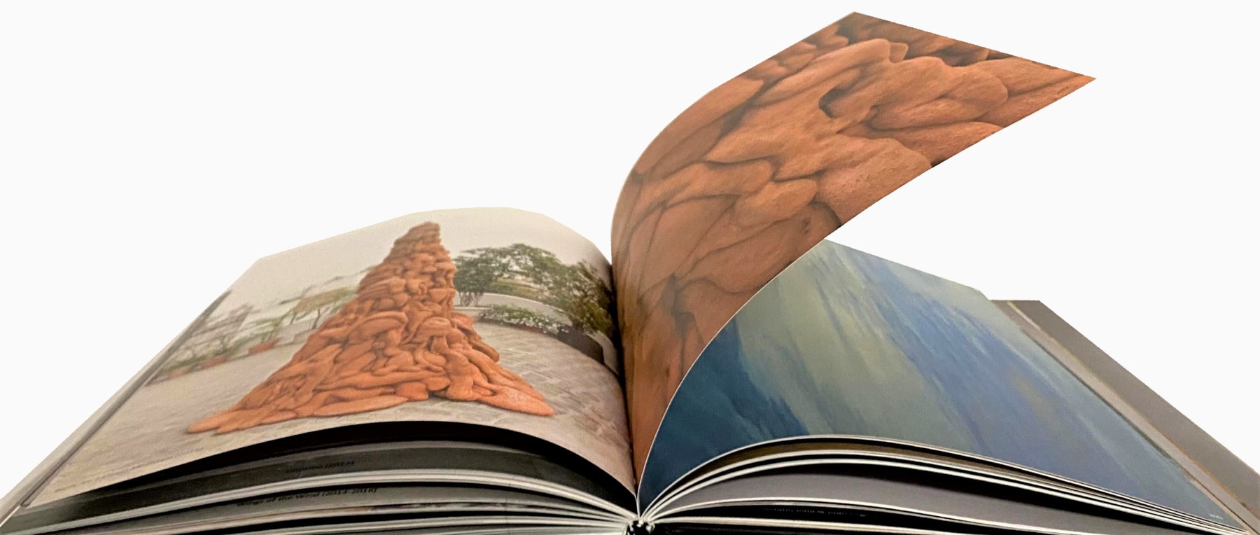 ALWAR BALASUBRAMANIAM