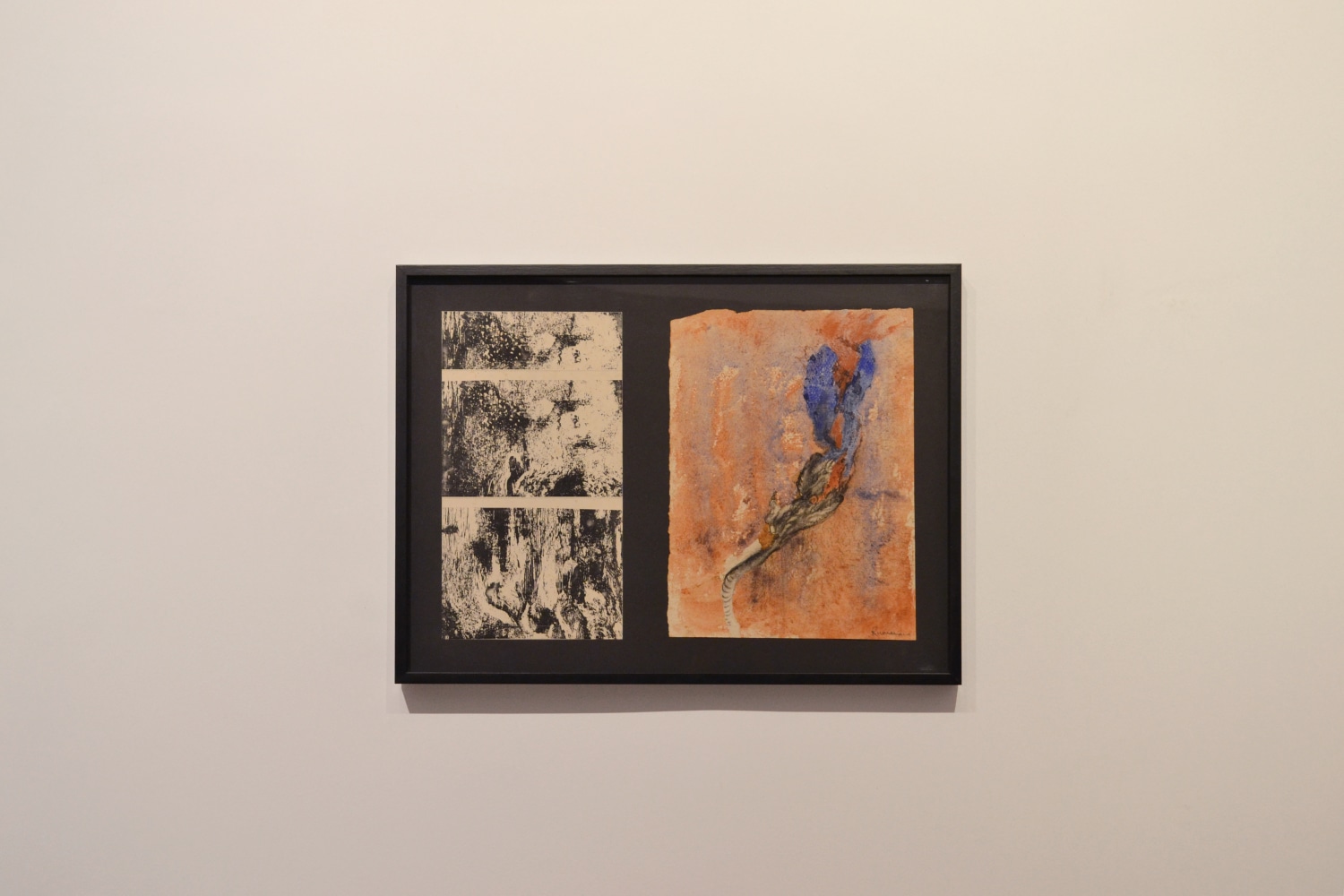 Aperture /Growth, 1993
Indigo and earth pigment and charcoal and print on paper
25.8” x 19.2”   