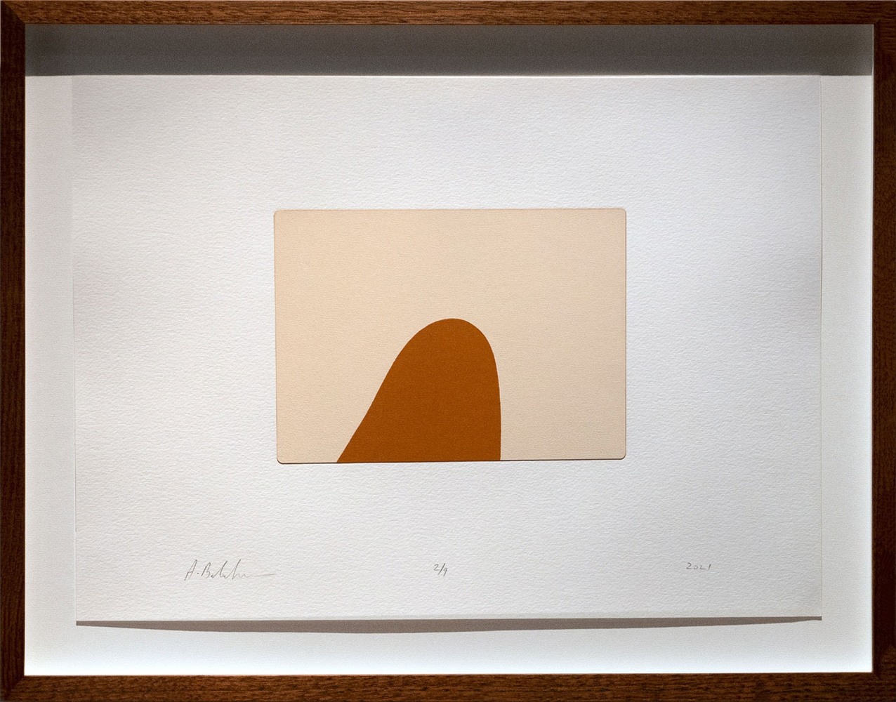 Alwar Balasubramaniam
L.S. XI, 2021
Silkscreened earth
Edition of 9
Paper 11.75” x 16.5” | Image 5.5” x 7.5”
Framed 15” x 19.5”
TG# 4387