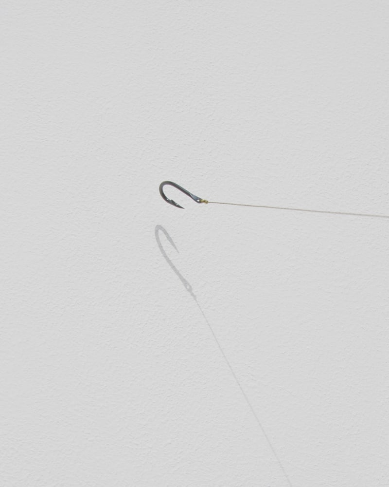 Link (Detail)