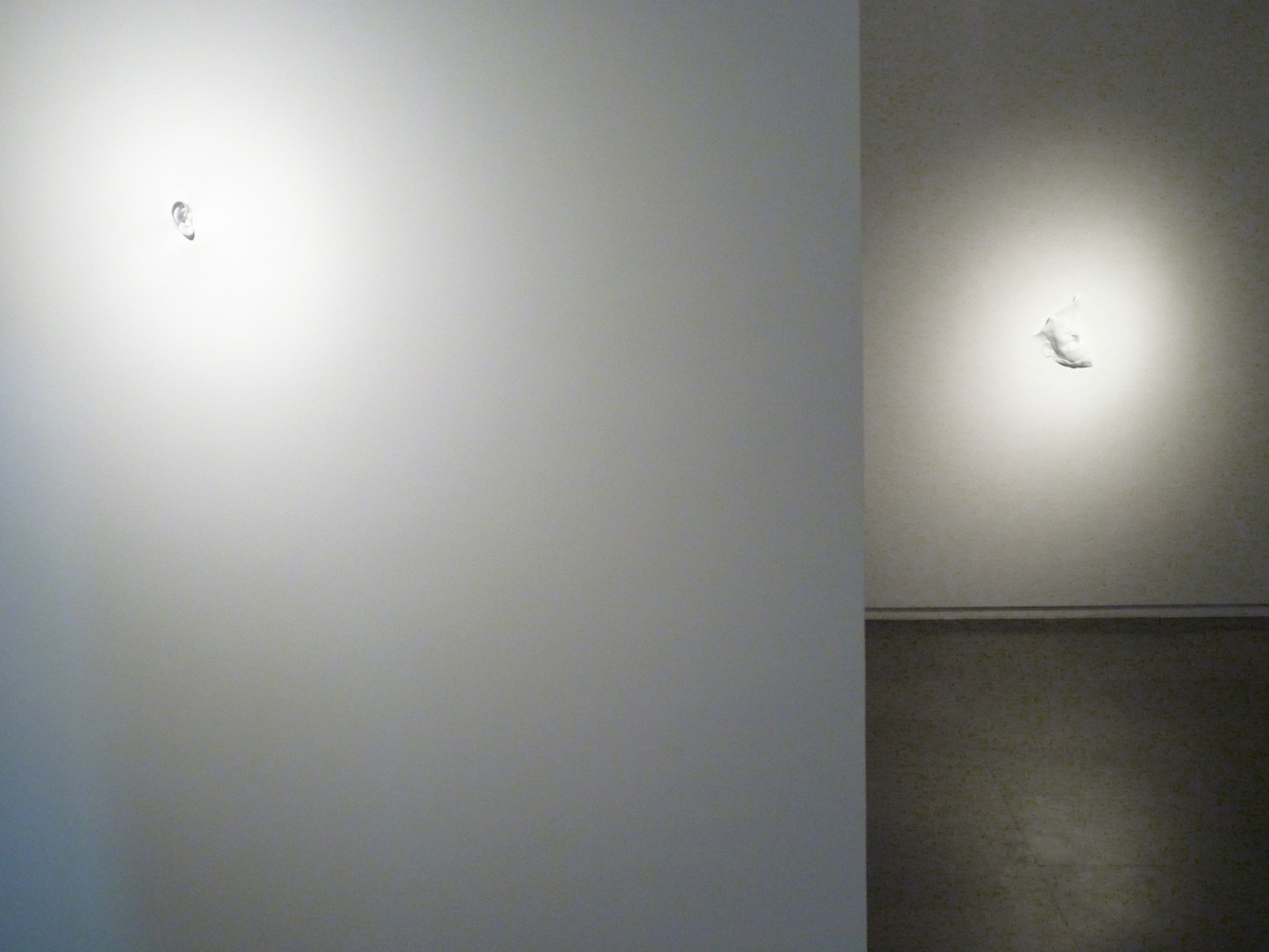 Exhibition View
