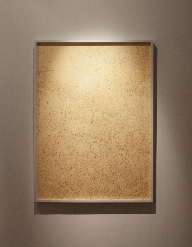 Mango (mrcnndnstrgglngwthgrll), 2010
C-Print
55″ x 40″