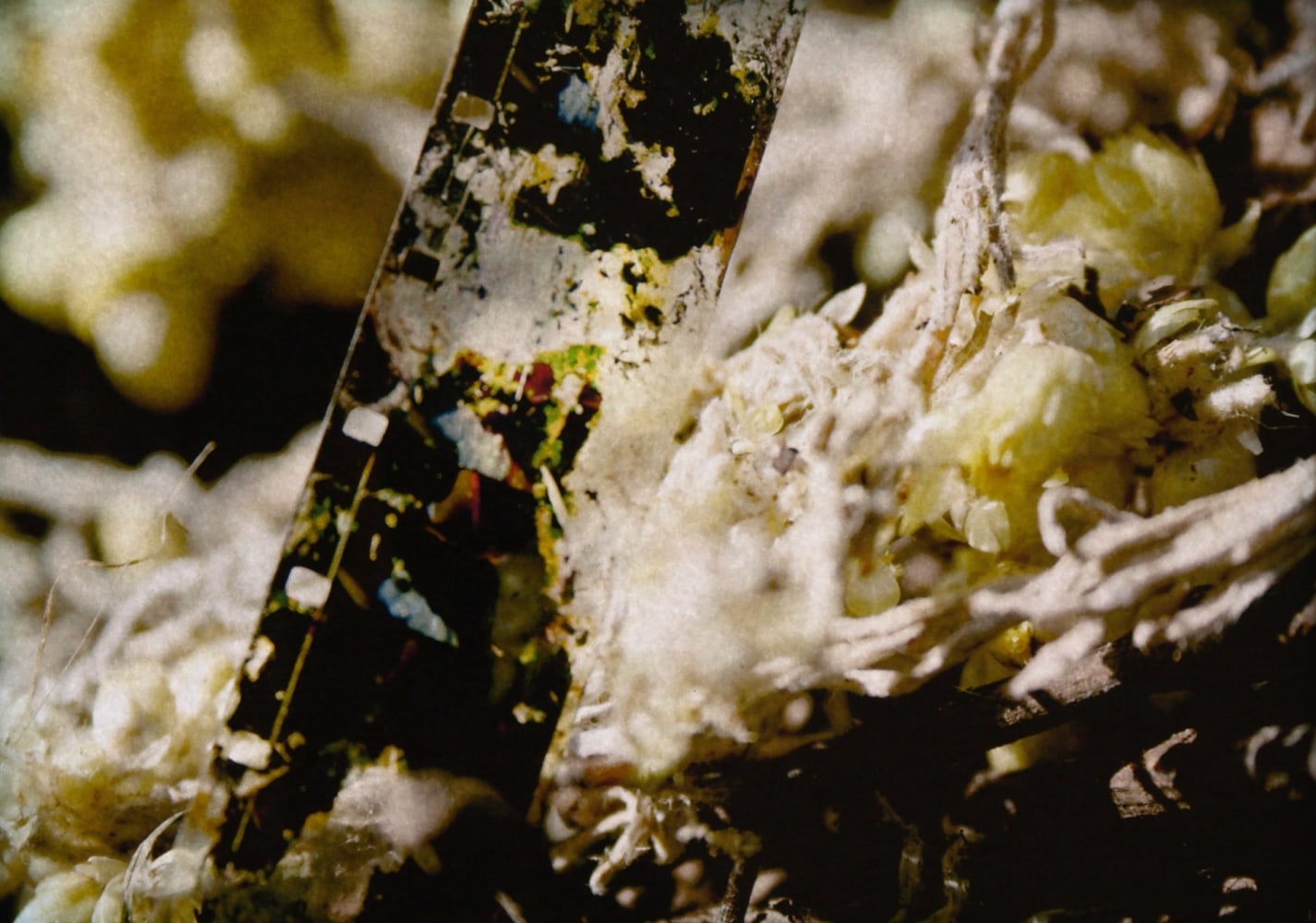 Priya in Process 3,&amp;nbsp;2008

Lightbox

12 3/4&amp;quot; x 16 3/4&amp;quot;