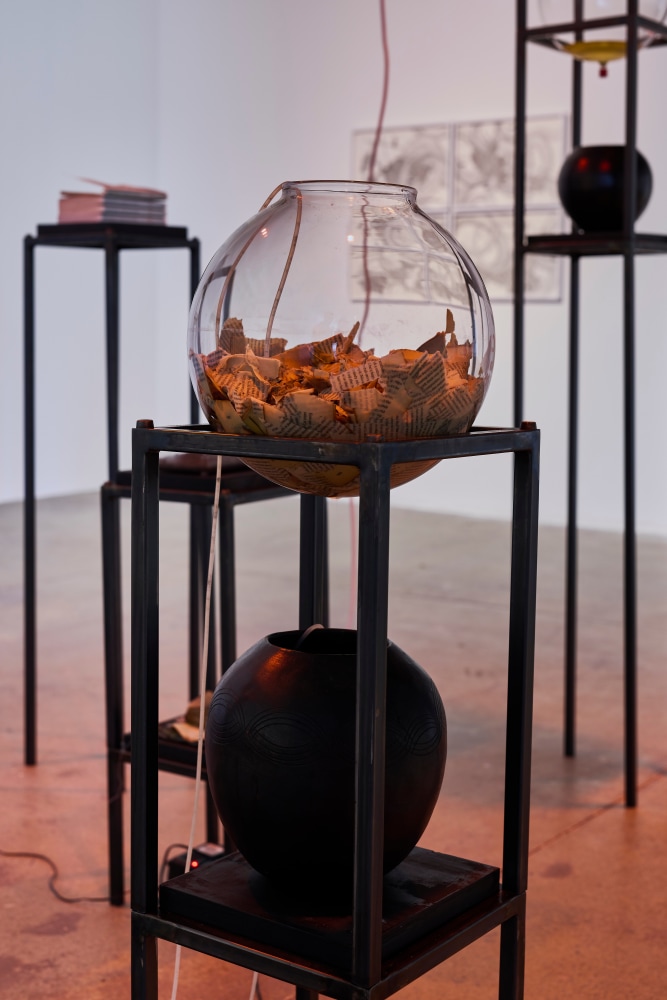 garden for fanon slideshow