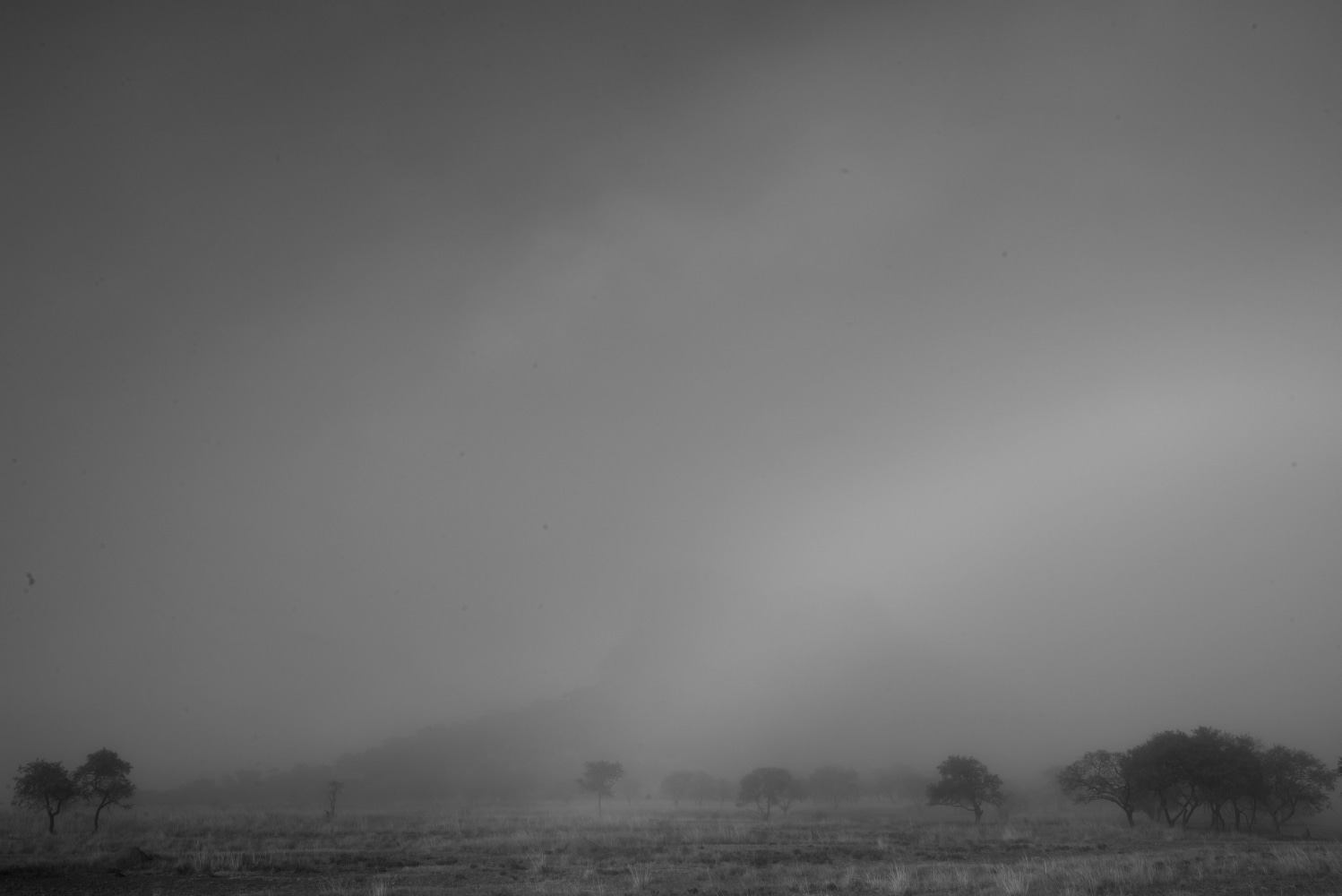 Jabulani Dhlamini
Intaba iSandlwana, Nquthu, KZN, 2022

&amp;nbsp;

Enquire