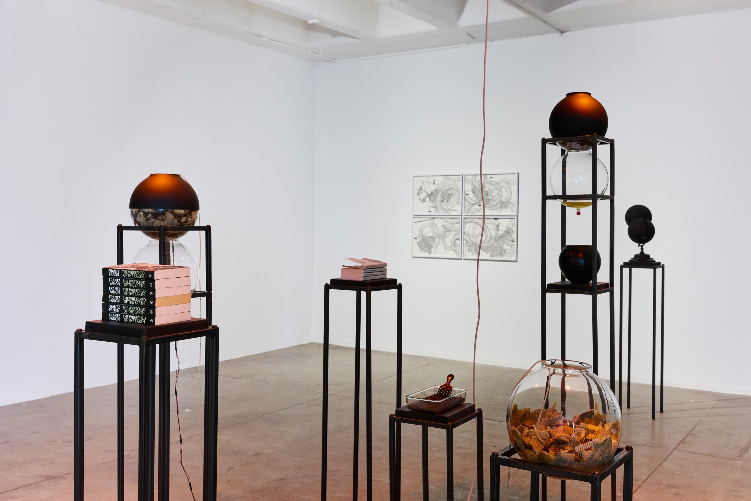 garden for fanon slideshow