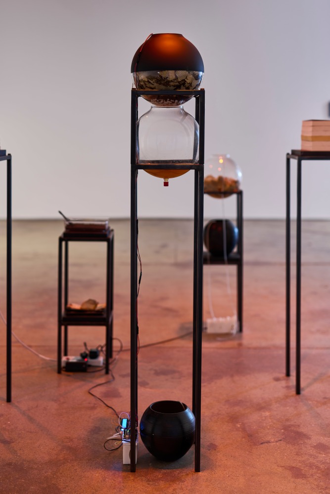 Nolan Oswald Dennis | conditions