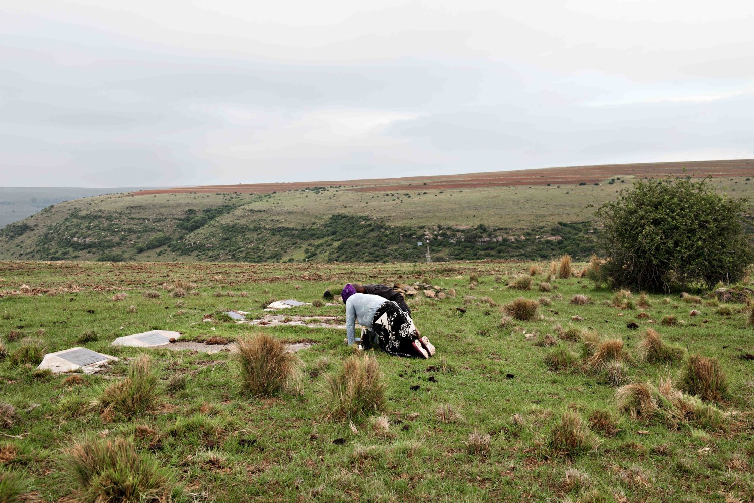 &amp;nbsp;

Jabulani Dhlamini
Endaleni zo Mkhulu,Warden,Free-State, 2022

&amp;nbsp;

Enquire