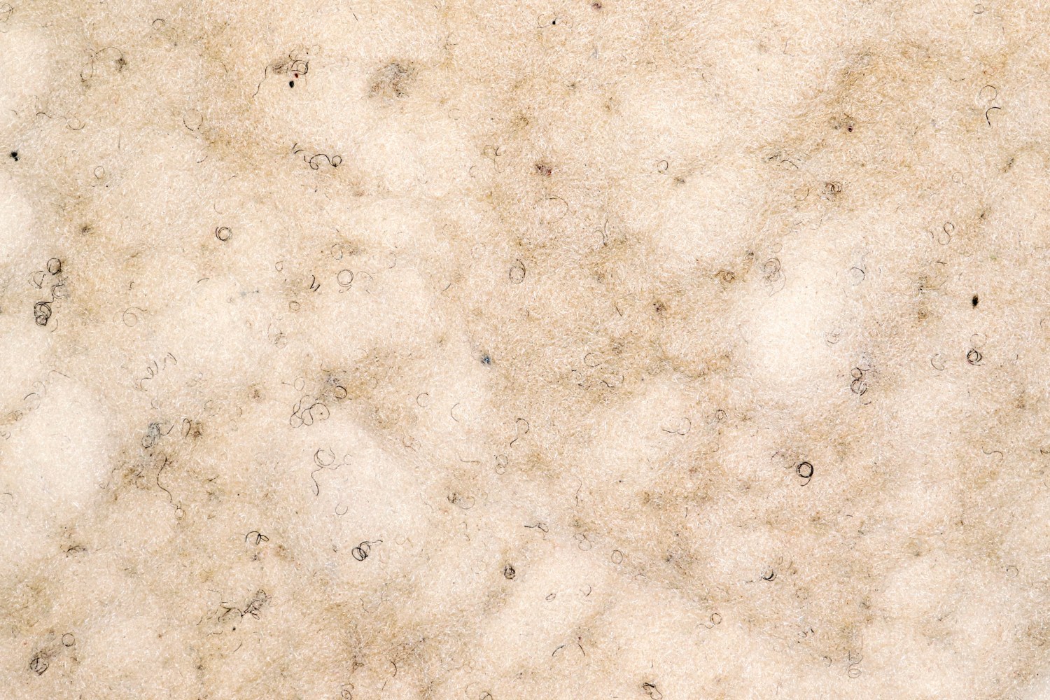 Thembinkosi Hlatshwayo
Untitled 5, 2022

&amp;nbsp;

Enquire