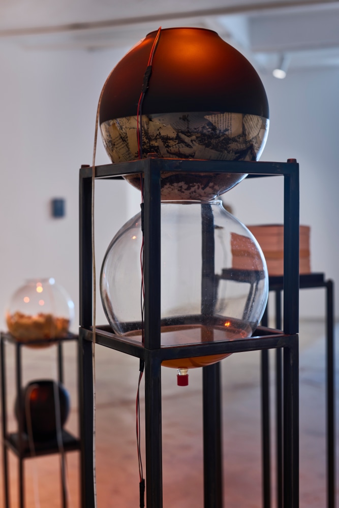 garden for fanon slideshow