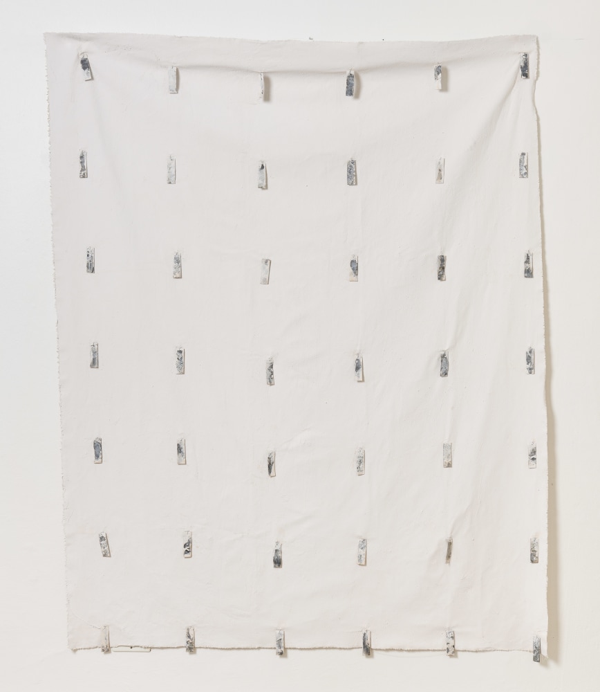Jeremy Wafer

Lime, 2023

Cloth, salt and steel

100 x 15 x 75 cm / 39.4 x 5.9 x 29.5 in.

Unique