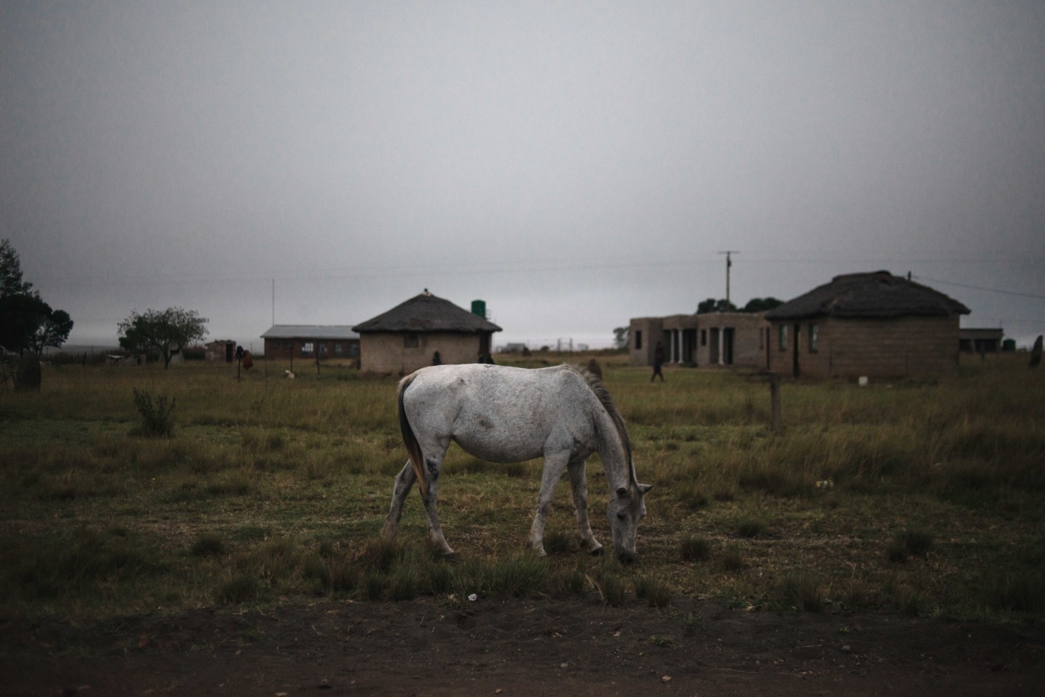 Jabulani Dhlamini
ihashi lase Sandlwana,Nquthu,KZN, 2022

&amp;nbsp;

Enquire