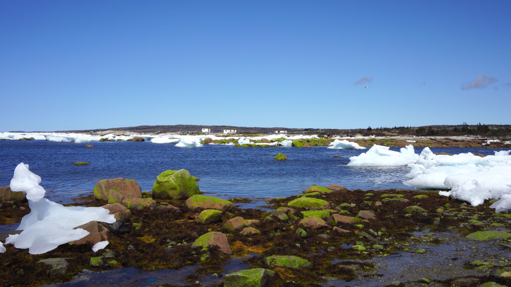 Liam Gillick, Quantified Variability, 2024, 4K video, colour, sound. Filmed on Fogo Island, Newfoundland.