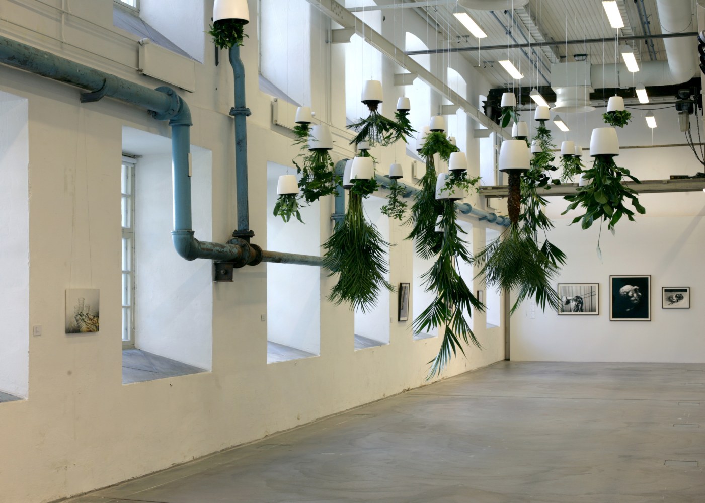 Eoin McHugh
Urpflanze, 2012
TR1 Kunsthalle, Tampere, Finland