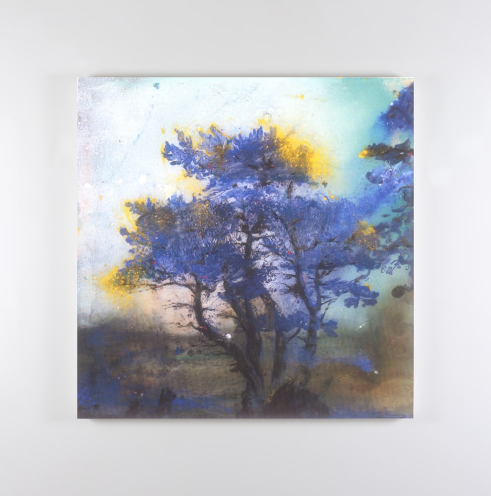 Elizabeth&amp;nbsp;Magill&amp;nbsp;
Scenic Route No 1, 1997
oil on canvas
61 x 61 cm / 24 x 24 in&amp;nbsp; &amp;nbsp;