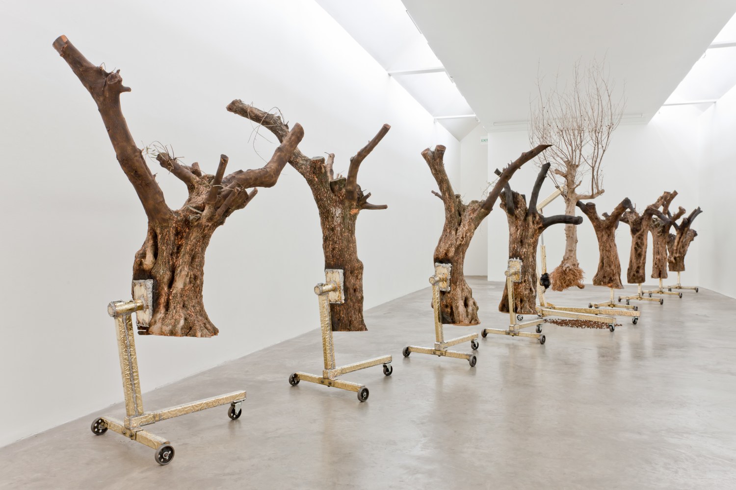 Siobh&amp;aacute;n Hapaska&amp;nbsp;
a great miracle needs to happen there, 2011
olive trees &amp;ldquo;Olea europaea&amp;rdquo;, lead free solder, brass, steel, cast iron, 9 elements
dimensions of each vary