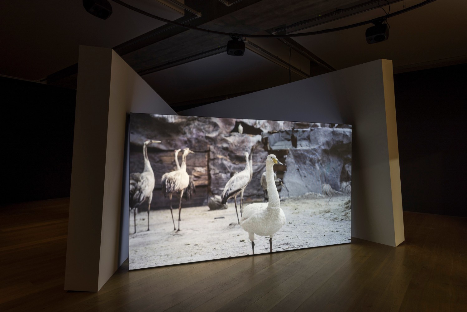 Gerard Byrne
Jielemeguvvie guvvie sjisjnjeli (Film inside an image), 2024
Towner Eastbourne, UK
Photo: Rob Harris