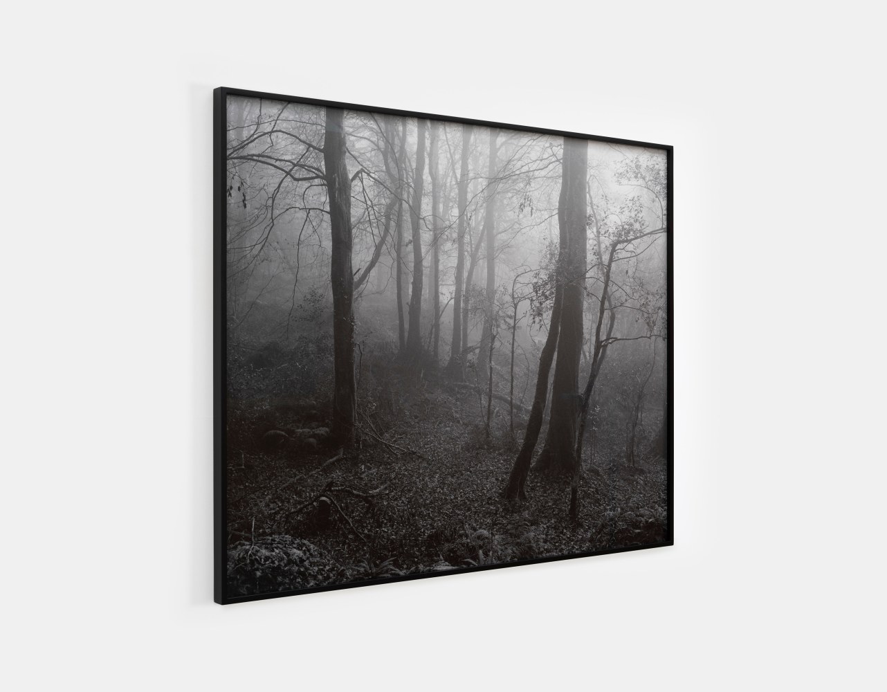 Willie Doherty

Unknown,&amp;nbsp;2024

Pigment print on Hahnem&amp;uuml;hle Photo Rag Baryta 315gsm, edition of 3

109 x 135.5 cm / 42.9 x 53.3 in framed