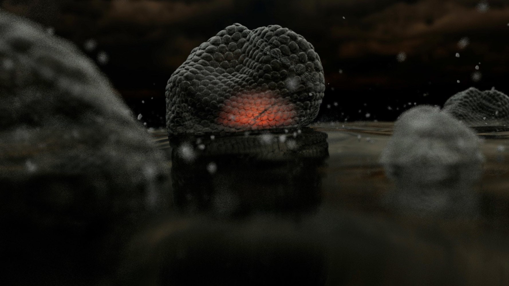 Jaki Irvine
Floaters, 2024
Video and sound installation, 4:18 minute loop duration

Installation view at Kerlin Gallery