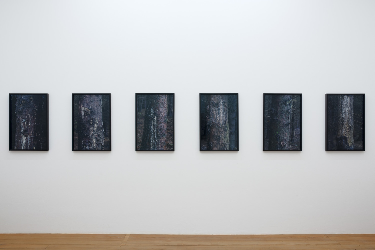 Willie Doherty
Home, 2016
Villa Merkel, Germany