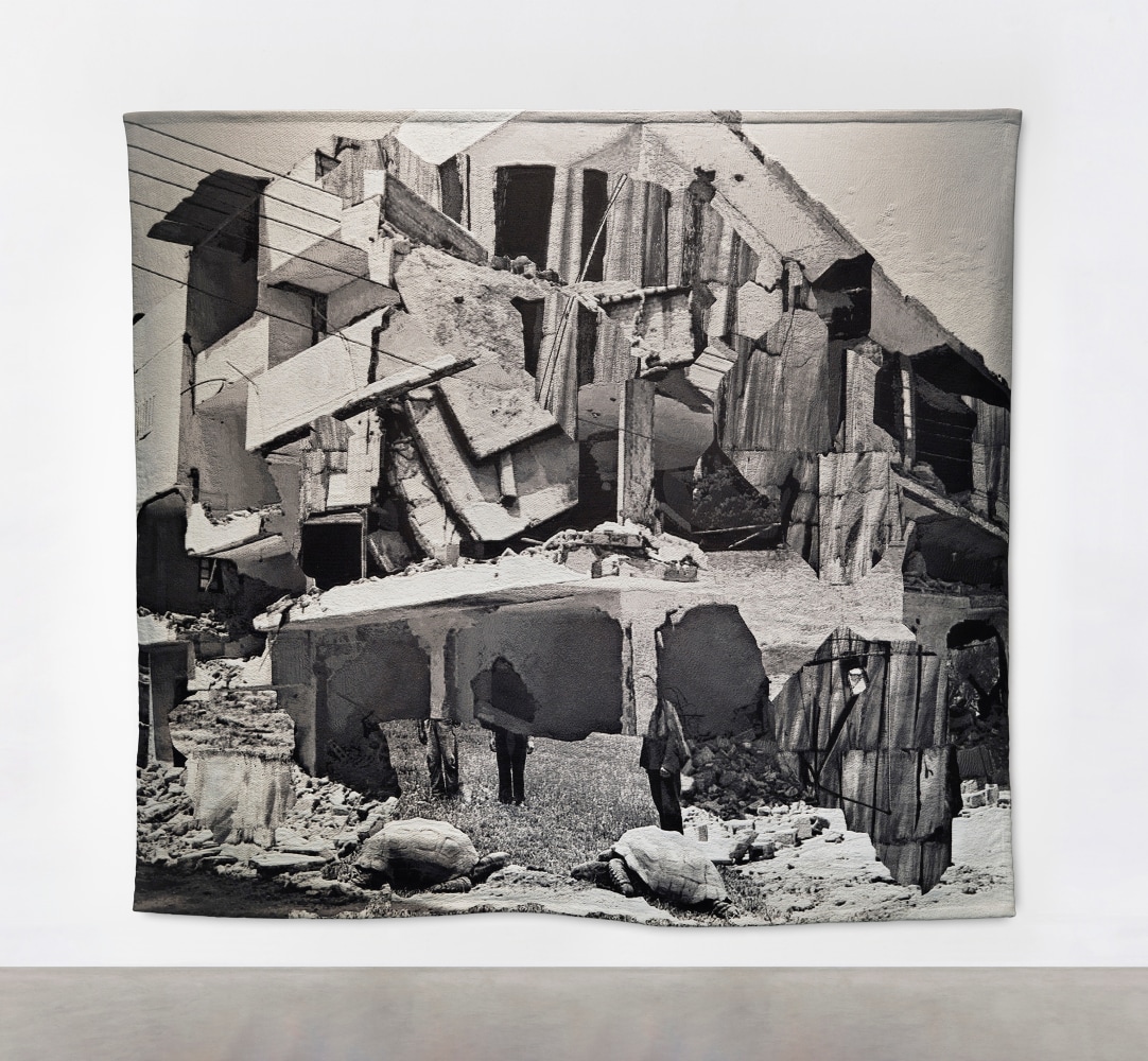 Ailbhe Ní Bhriain Intrusions I MAC Lyon