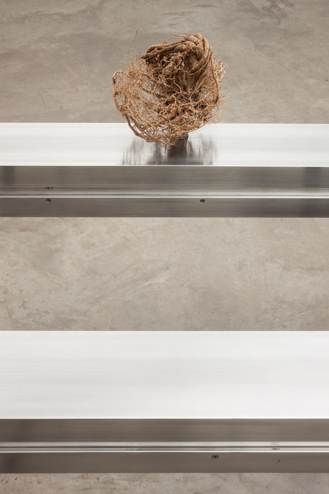 Siobhán Hapaska, the recent incarnation of two advanced souls, 2012