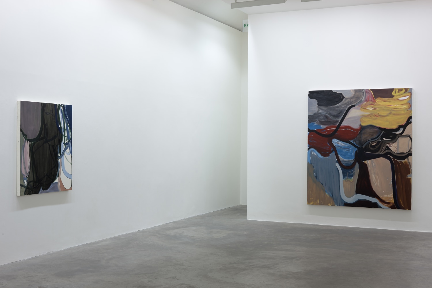 Liliane Tomasko
Sense, 2015
Kerlin Gallery, Dublin, Ireland

&amp;nbsp;