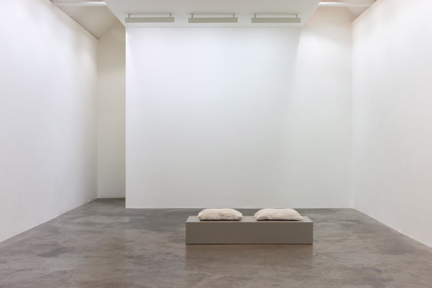 Dorothy Cross I dreamt I dwelt Kerlin Gallery 6 September - 19 October 2019