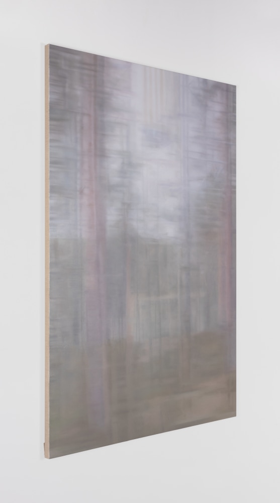 Paul Winstanley&amp;nbsp;
View of the Lake 1,&amp;nbsp;2009
oil on linen
230 x 154 cm / 90.6 x 60.6 in&amp;nbsp;