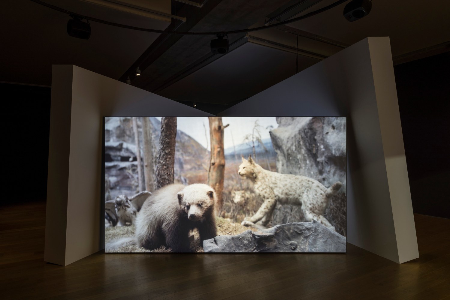 Gerard Byrne
Jielemeguvvie guvvie sjisjnjeli (Film inside an image), 2024
Towner Eastbourne, UK
Photo: Rob Harris