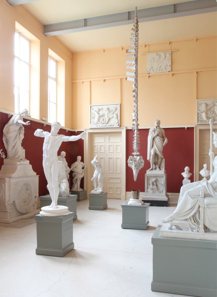 Dorothy Cross
Gravity, 2011
Crawford Art Gallery, Cork, Ireland