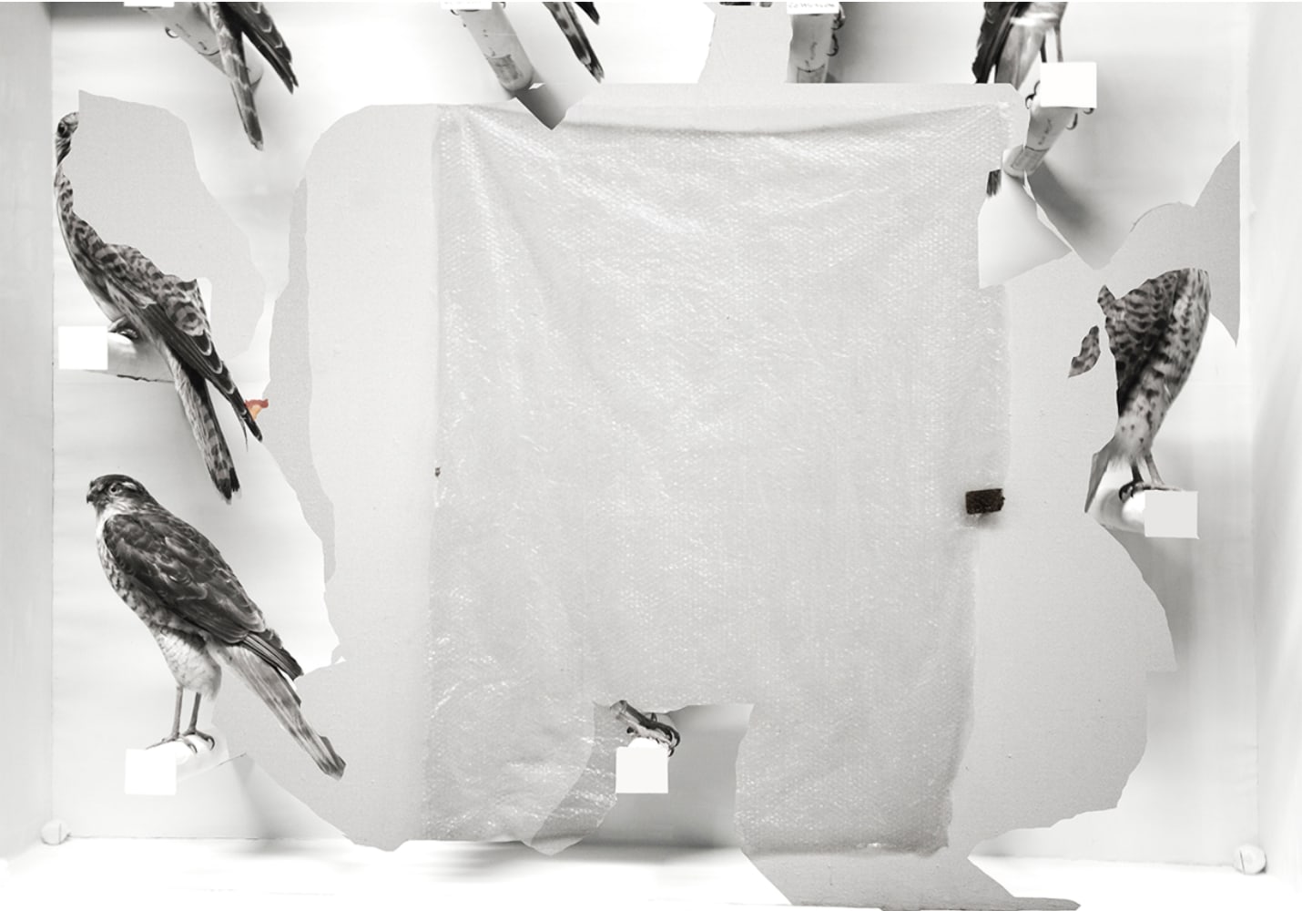 Ailbhe N&amp;iacute; Bhriain

Inscriptions (8) 2017

Pigment Baryta print, in raw walnut frame with clarity glass, edition of 10 + 3AP

98 x 140 cm / 38.6 x 55.1 in framed