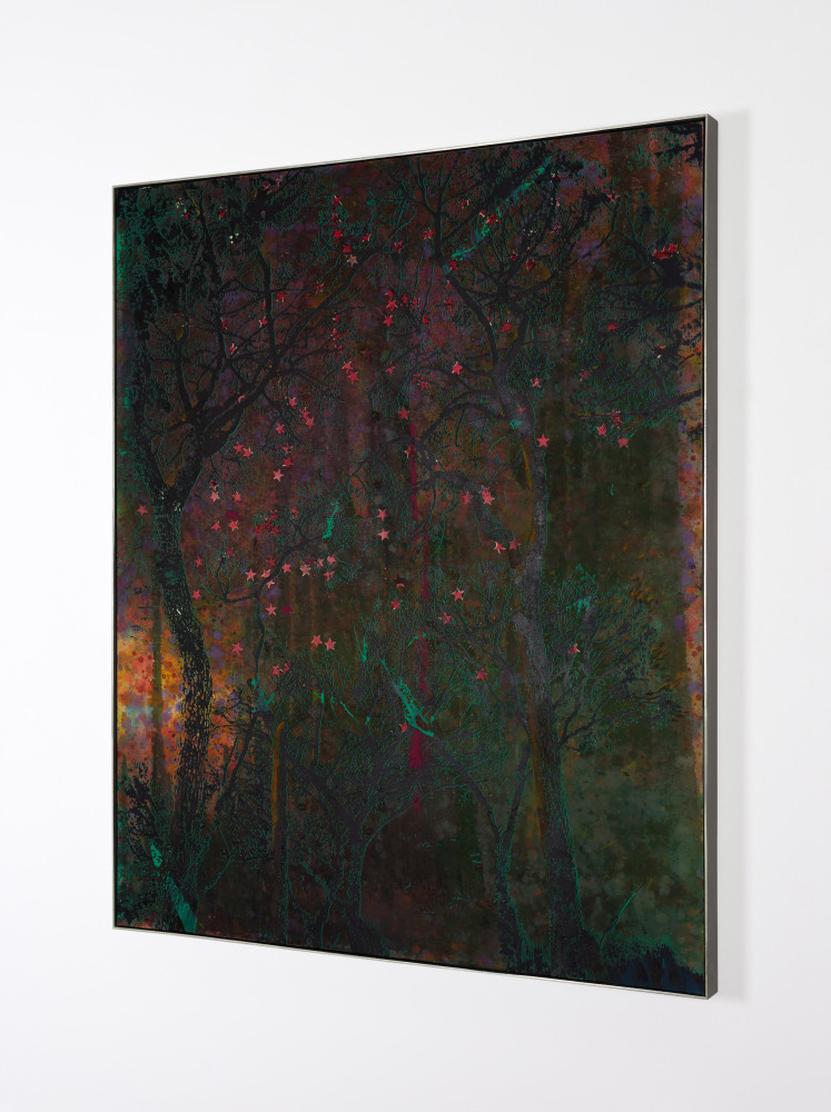 Elizabeth Magill&amp;nbsp;
Red Stars, 2021
oil and mixed media on canvas
183 x 153 cm / 72 x 60.2 in&amp;nbsp; &amp;nbsp;