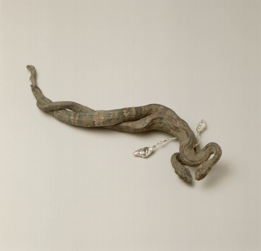 Dorothy Cross&amp;nbsp;
Lover Snakes, 1995
stuffed snakes and cast silver reliquaries containing snake hearts
37 x 14 cm / 14.6 x 5.5 in
Collection of Irish Museum of Modern Art, Dublin

&amp;nbsp;