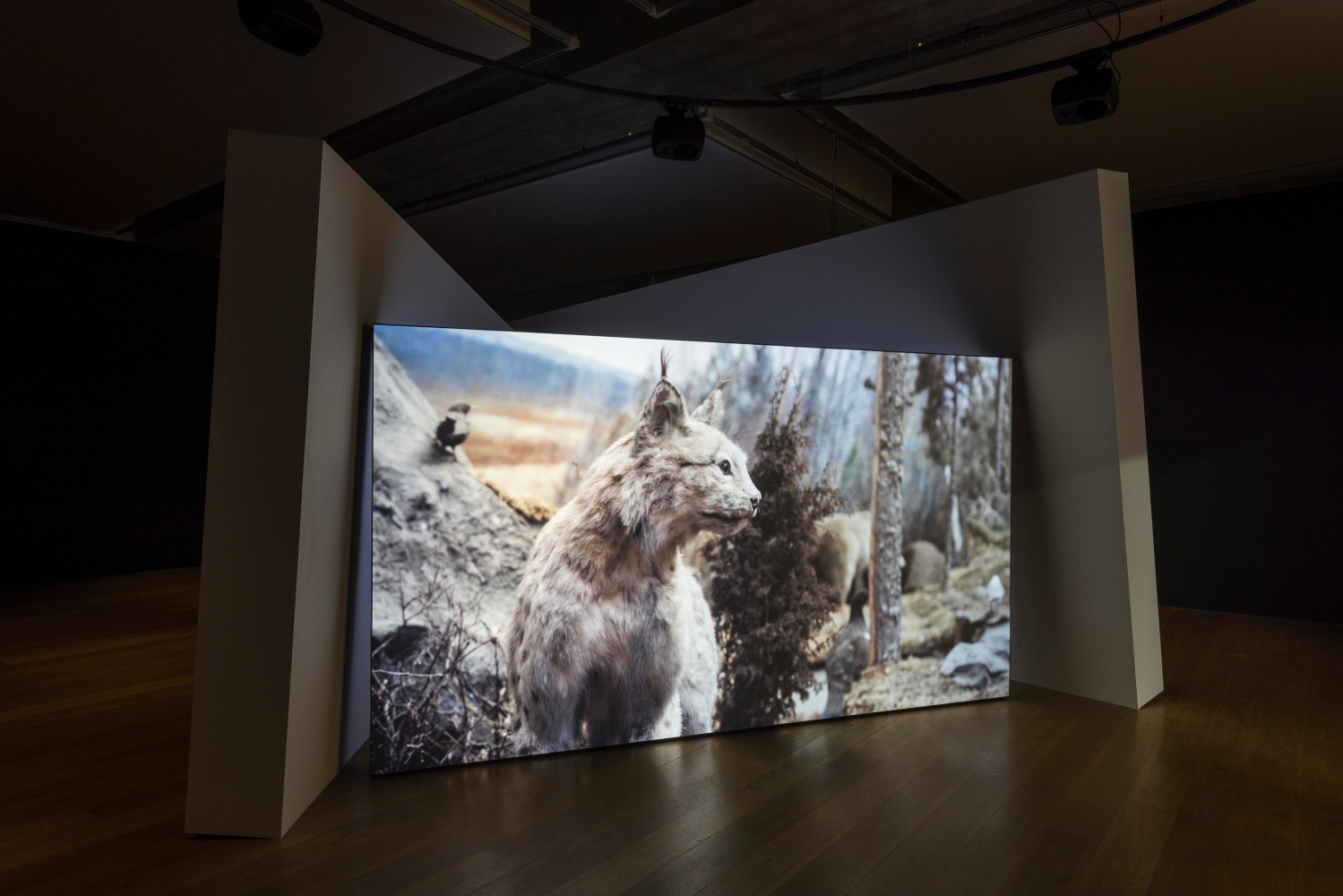 Gerard Byrne
Jielemeguvvie guvvie sjisjnjeli (Film inside an image), 2024
Towner Eastbourne, UK
Photo: Rob Harris