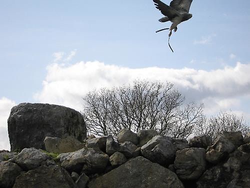 In a world like this
2007
9 Screen video installation, 4:3 PAL DVD
Continuous Loop