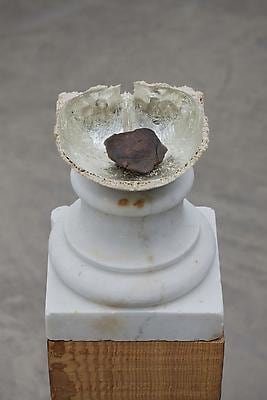 Dorothy Cross
Telescope, 2014
human skull, white gold leaf, meteorite, marble, pitch pine, telescope&amp;nbsp;
floor based element: 121 x 14 x 14 cm&amp;nbsp;
telescope element: 80 x 5 x 5 cm