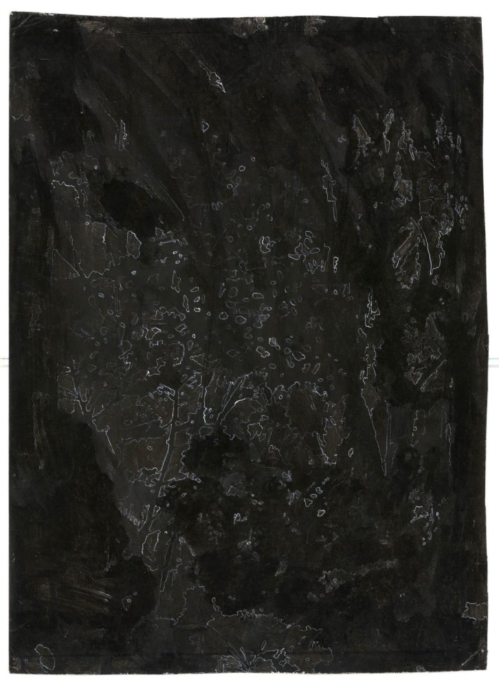 Kathy Prendergast, DARK WOODS # 7