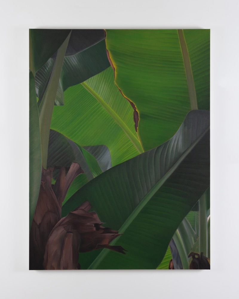 Marcel Vidal
Banana IX
2021
oil on linen
160 x 120 x 2.5 cm / 63 x 47.2 x 1 in