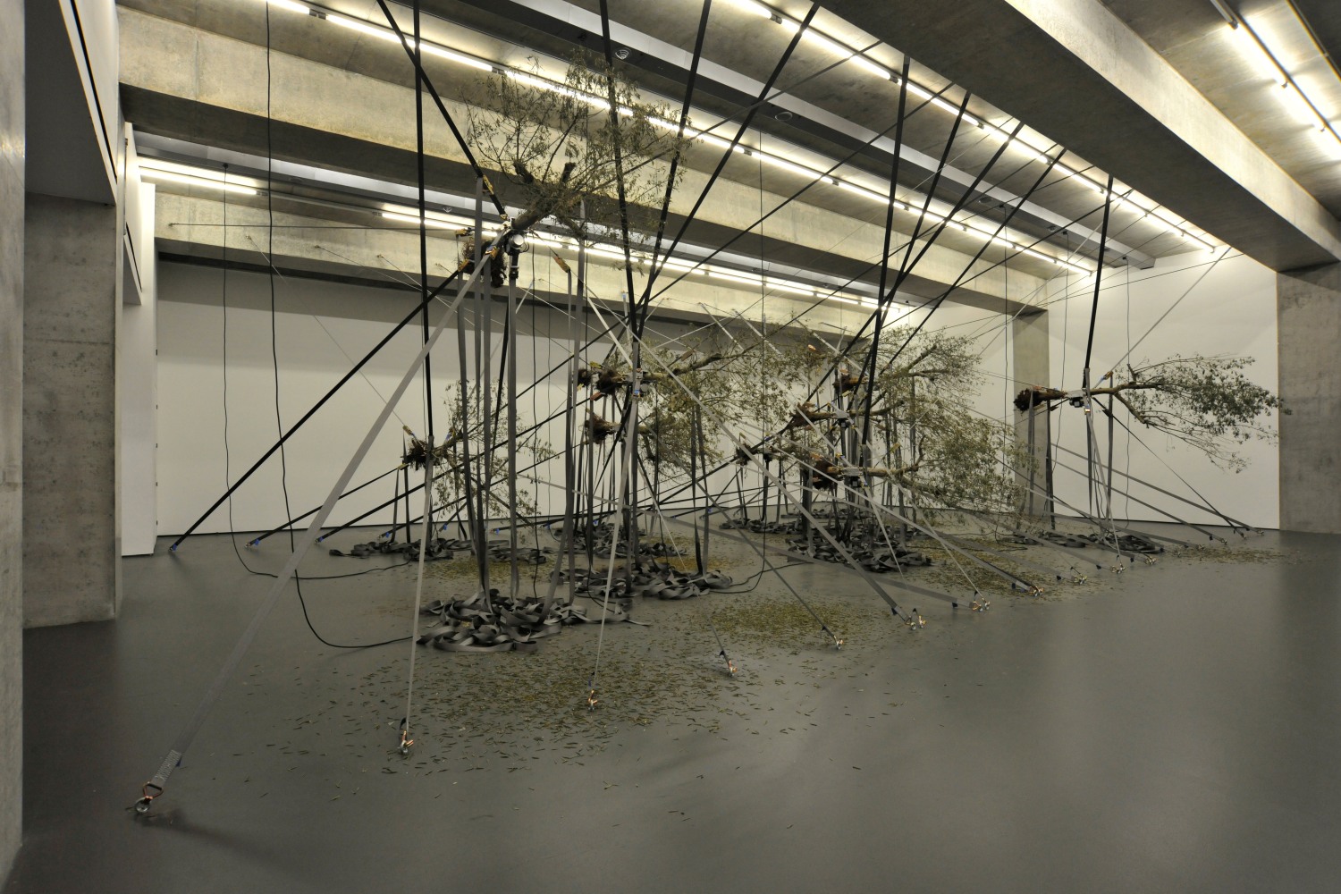 Siobh&amp;aacute;n Hapaska
some are nights other stars, 2016
Towner Eastbourne, UK
Photo: Alison Bettles

&amp;nbsp;