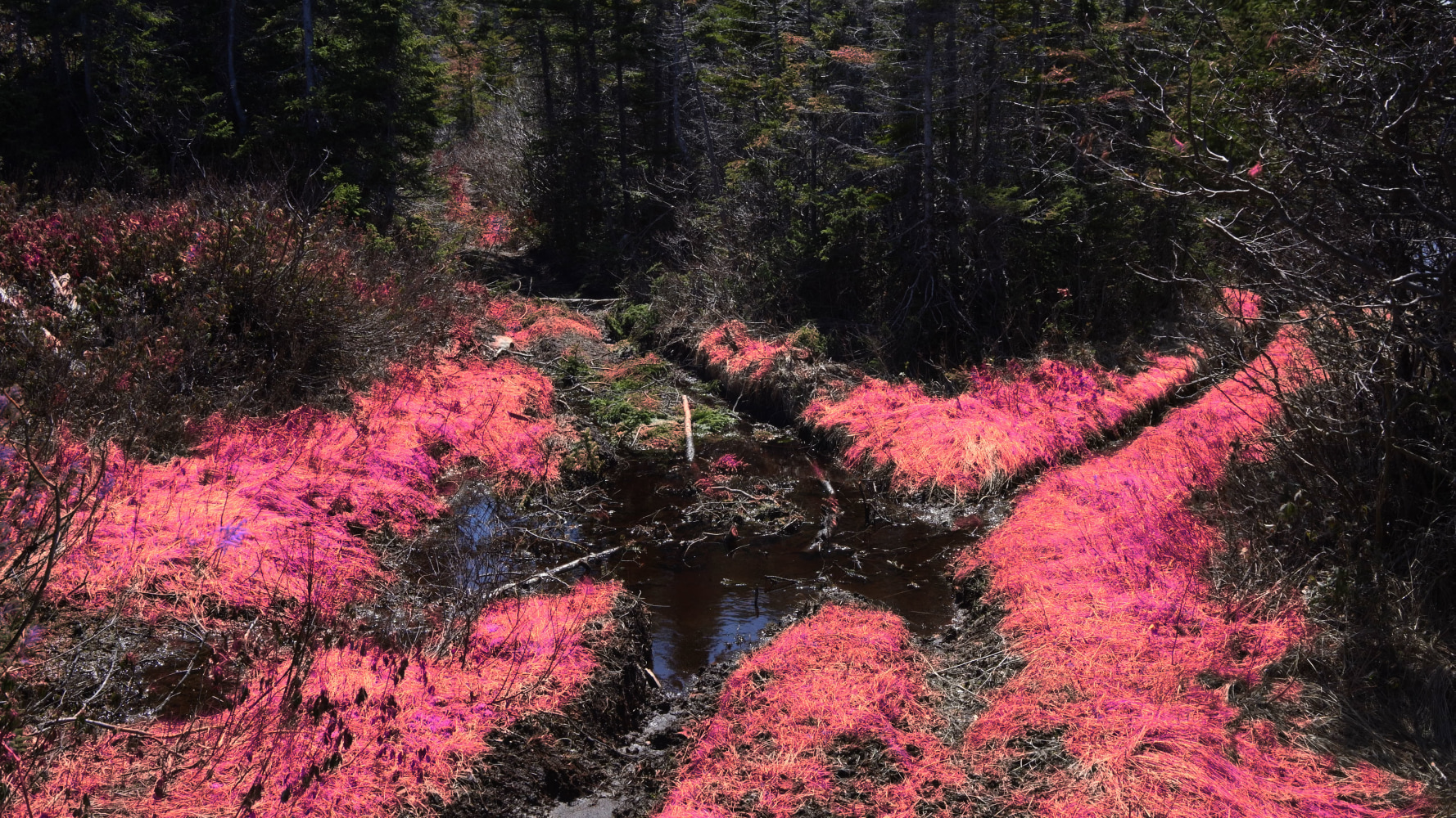 Liam Gillick, Quantified Variability, 2024, 4K video, colour, sound. Filmed on Fogo Island, Newfoundland.