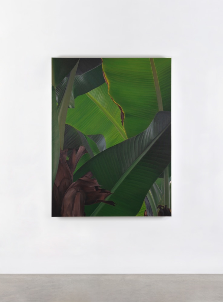 Marcel Vidal
Banana IX
2021
oil on linen
160 x 120 x 2.5 cm / 63 x 47.2 x 1 in