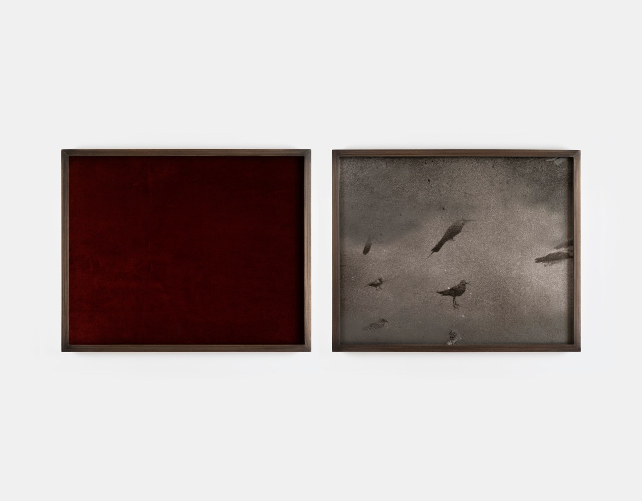 Ailbhe N&amp;iacute; Bhriain,&amp;nbsp;Untitled (birds), 2025, diptych, pigment print on Hahnem&amp;uuml;hle Photo Rag Metallic, velvet, brass frame with Optium museum acrylic, edition of 3, 27.5 x 34 x 3 cm / 10.8 x 13.4 x 1.2 in framed