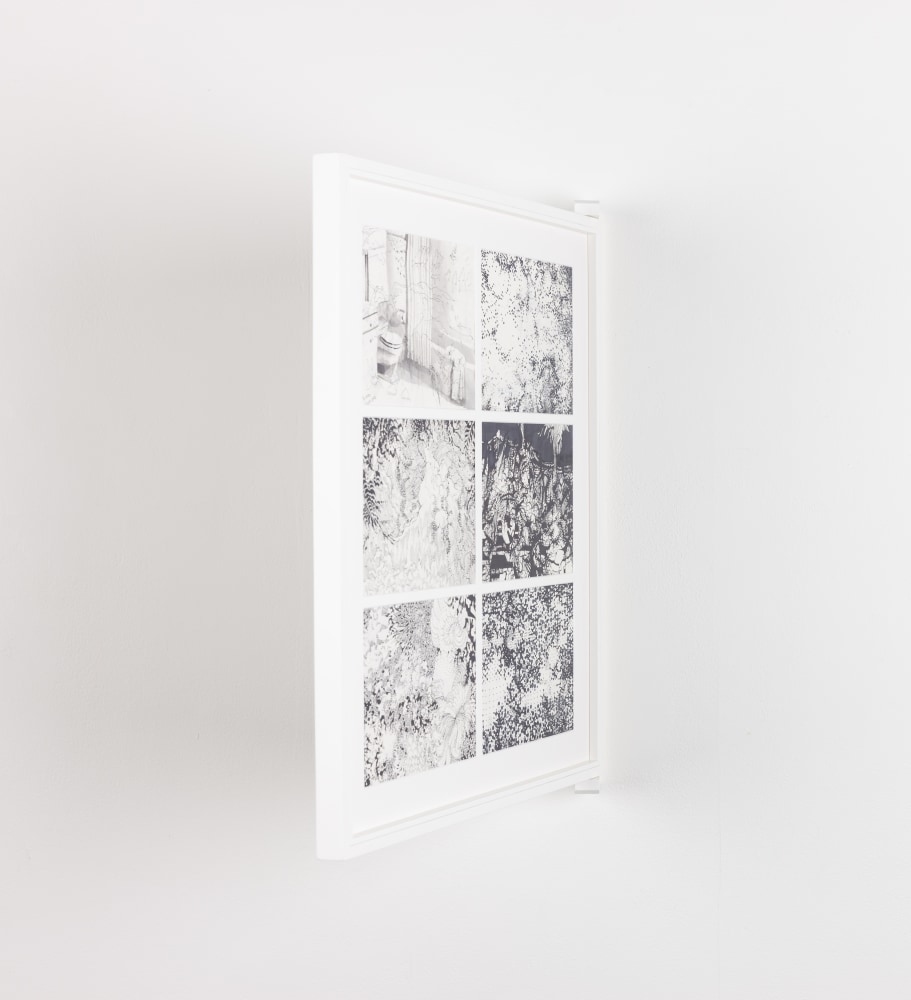 Eoin Mc Hugh&amp;nbsp;
io, pp. 37-42, 2016-2019
pigment ink on paper
six pages, 15 x 20 cm / 5.9 x 7.9 in each
54.7 x 49.7 x 2.5 cm / 21.5 x 19.6 x 1 in framed
Collection of Irish Museum of Modern Art, Dublin

&amp;nbsp;