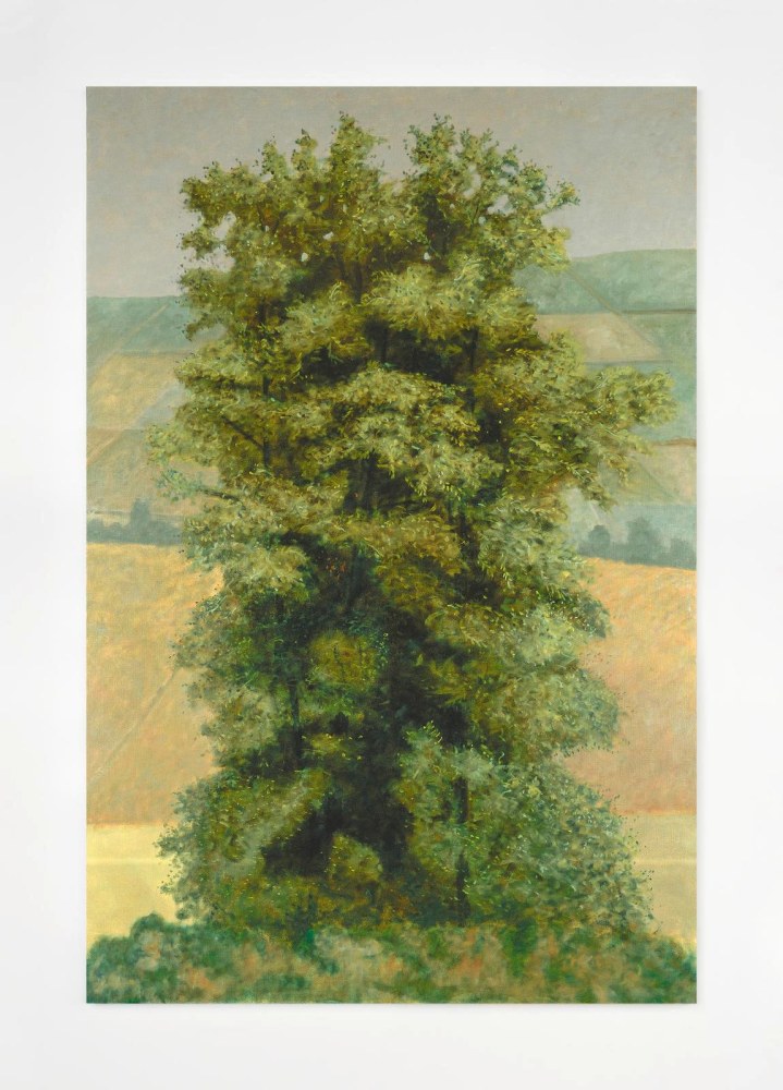 Stephen McKenna, Tillia Vulgaris