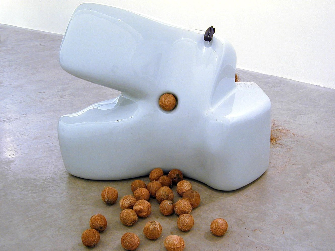 Siobhán Hapaska, Living