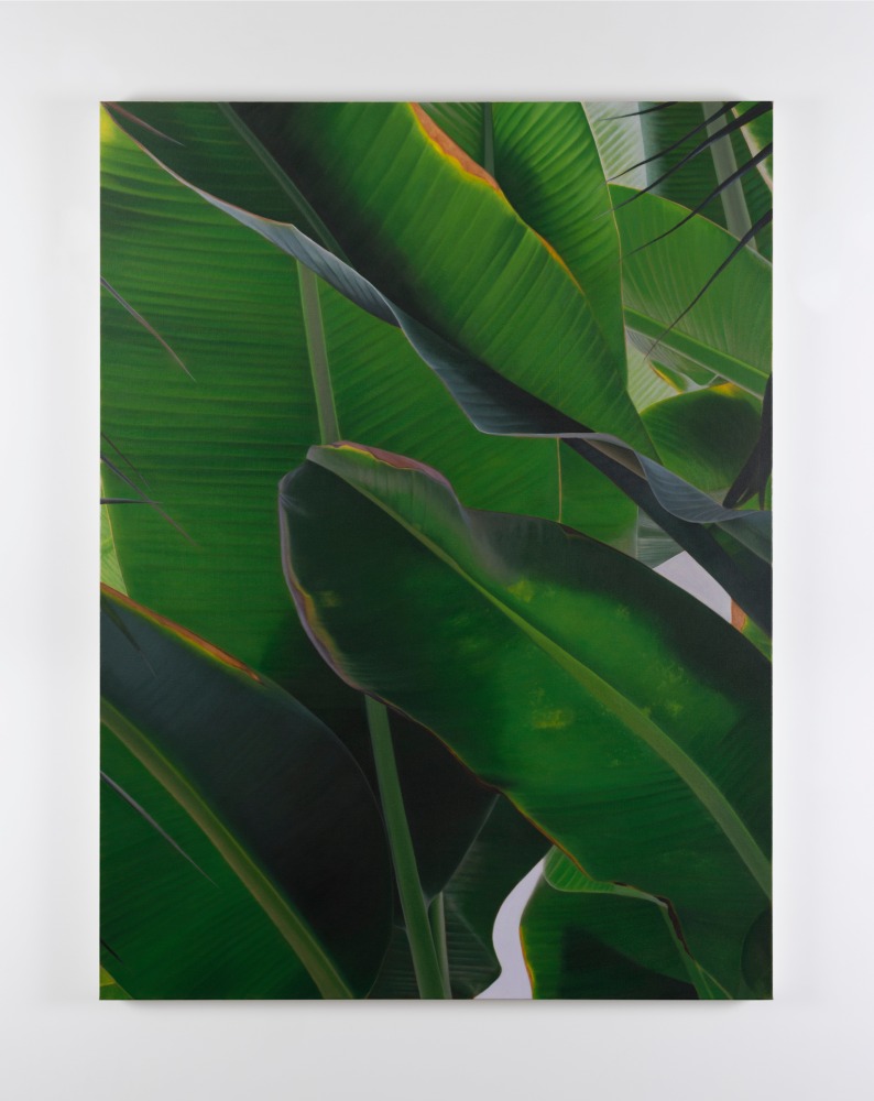 Marcel Vidal&amp;nbsp;
Banana VI, 2021
oil on linen
160 x 120 cm / 63 x 47.2 in&amp;nbsp;