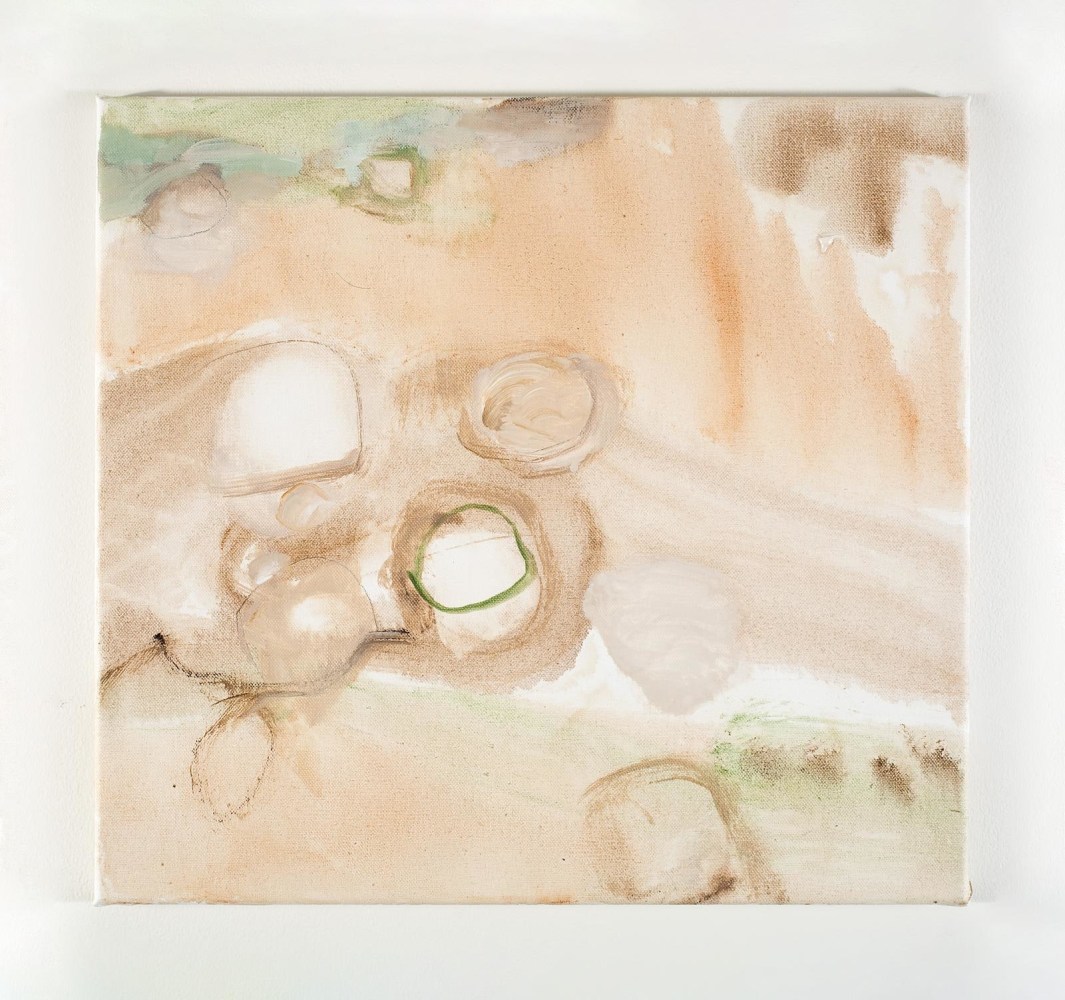 Barrie Cooke, Didymosphenia Geminata