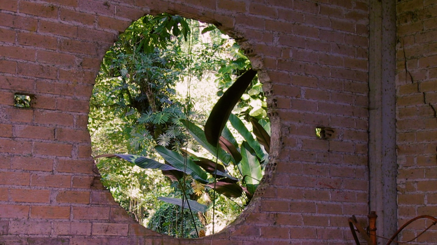 Jaki Irvine&amp;nbsp;
Xilitla Window, 2019
video and sound installation, 4:34 minute loop duration, edition of 3
