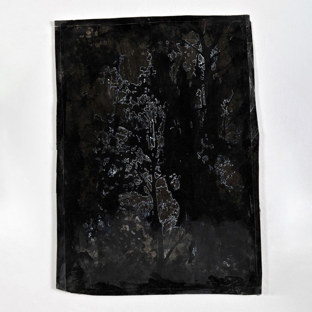 Kathy Prendergast, DARK WOODS,